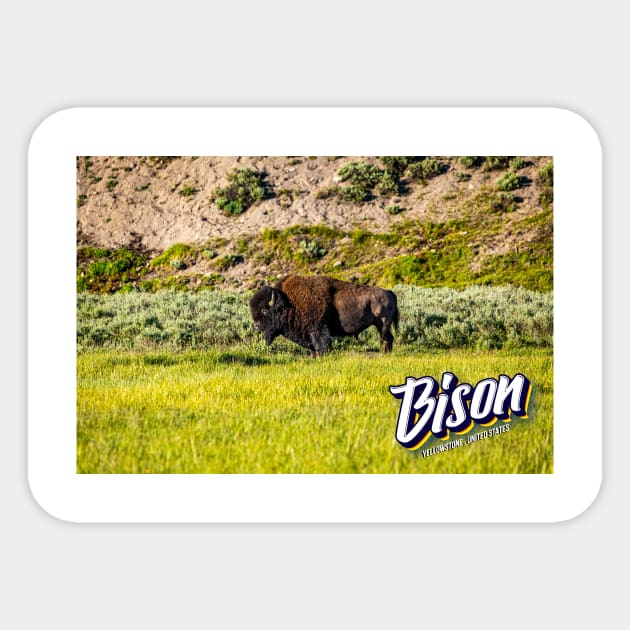 Bison at Yellowstone Sticker by Gestalt Imagery